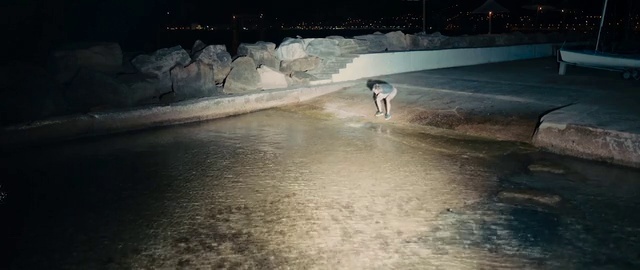 Video Reference: Water, Dog, Asphalt, Flash photography, Tints and shades, Landscape, Recreation, Darkness, Wind wave, Midnight
