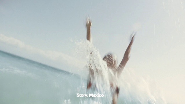 Video Reference: Sky, Water, Flash photography, Gesture, People in nature, Happy, Feather, People on beach, Seabird, Wing