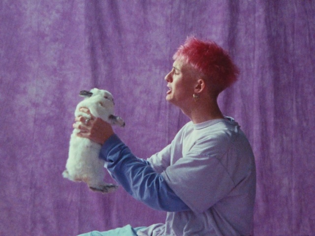 Video Reference: Hand, Purple, Toy, Gesture, Pink, Violet, Teddy bear, Happy, Magenta, Jheri curl