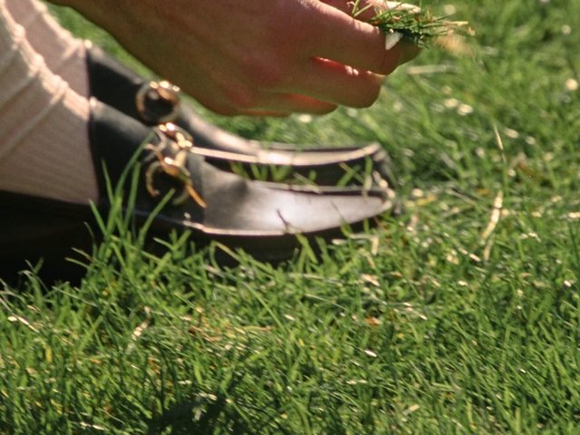 Video Reference: grass, hand, shoe, lawn, outdoor, close-up, nature, recreation, summer, green, person, ground, footwear
