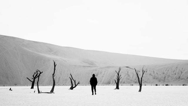 Video Reference: Sky, People in nature, Ecoregion, Natural environment, Branch, Slope, Natural landscape, Happy, Gesture, Freezing