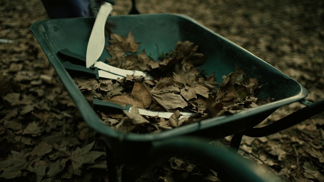 Video Reference: Natural material, Wood, Plant, Terrestrial plant, Grass, Twig, Waste container, Soil, Metal, Still life photography