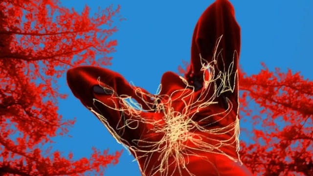 Video Reference: Sky, Plant, Flower, Organism, Tree, Terrestrial plant, Red, Twig, Sculpture, Art