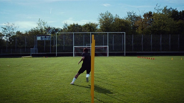 Video Reference: Sky, Cloud, Sports equipment, Tree, Fence, Grass, Player, Plant, Leisure, Ball