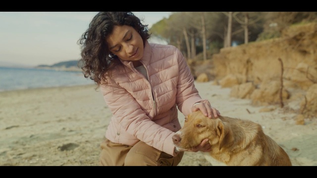 Video Reference: Water, Flash photography, People in nature, Happy, Fawn, Working animal, Carnivore, Companion dog, Landscape, Sand