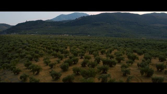 Video Reference: Sky, Plant, Mountain, Natural landscape, Grassland, Grass, Plain, Landscape, Horizon, Cloud
