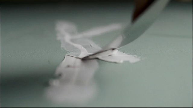 Video Reference: Petal, Gesture, Creative arts, Art, Wing, Sky, Wood, Macro photography, Craft, Monochrome photography