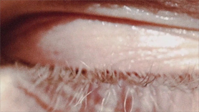 Video Reference: Head, Human body, Close-up, Peach, Font, Carmine, Fur, Flesh, Magenta, Pattern