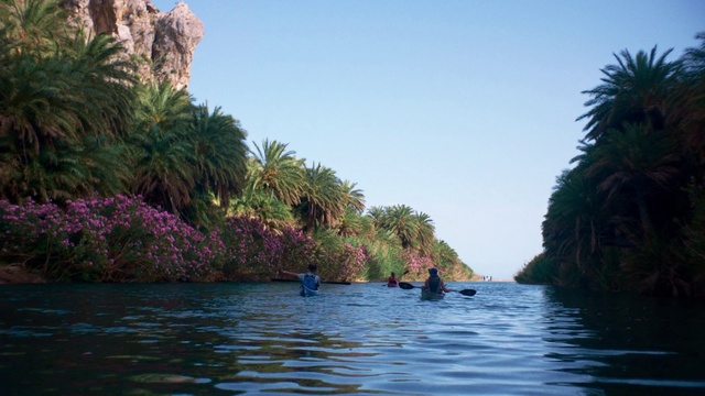 Video Reference: Water, Sky, Water resources, Plant community, Flower, Plant, Azure, Tree, Natural landscape, Lake