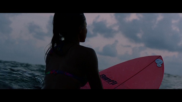 Video Reference: Cloud, Sky, Surfing, Flash photography, Surfboard, Swimwear, Tints and shades, Leisure, Eyewear, Happy