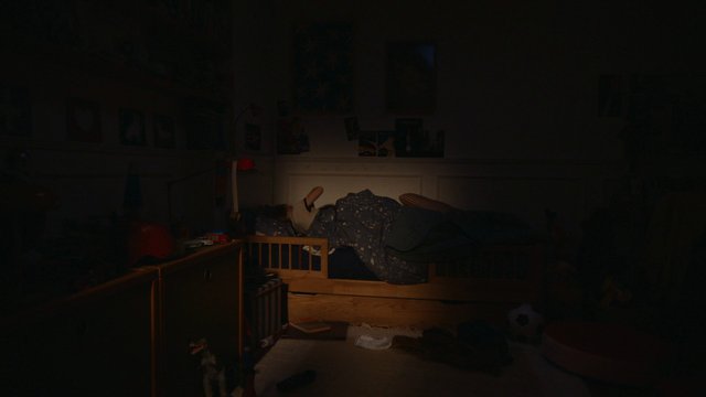 Video Reference: bedroom, interior, bed, person, sleeping, dark, low light, home, night, furniture, shadows, vignette