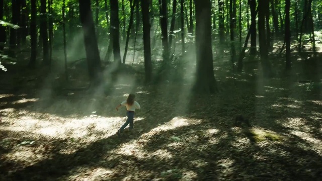 Video Reference: Plant, People in nature, Tree, Wood, Natural landscape, Terrestrial plant, Trunk, Biome, Deciduous, Grass