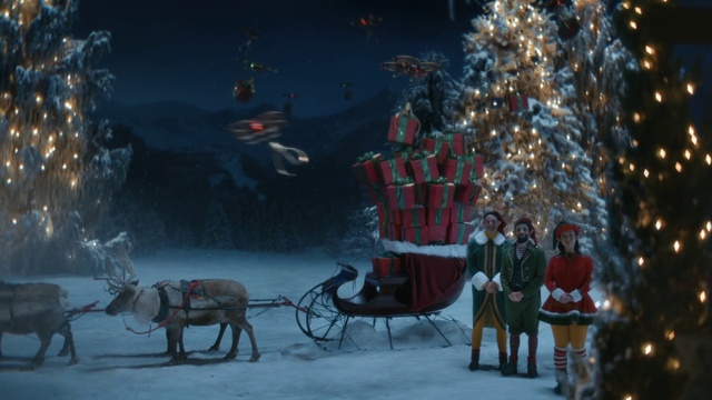 Video Reference: Wheel, Snow, Vertebrate, Vehicle, Working animal, Mode of transport, Sled, Freezing, Cart, Plant