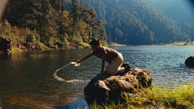 Video Reference: lake, person, rock, water, forest, mountains, outdoors, nature, reflection, shore, splash, sunlight, countryside