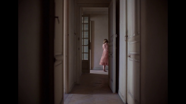 Video Reference: Building, Dress, Wood, Flash photography, Flooring, Hall, Door, House, Column, Ceiling