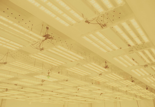 Video Reference: Amber, Wood, Floor, Shade, Flooring, Wood stain, Beam, Beige, Hardwood, Tints and shades