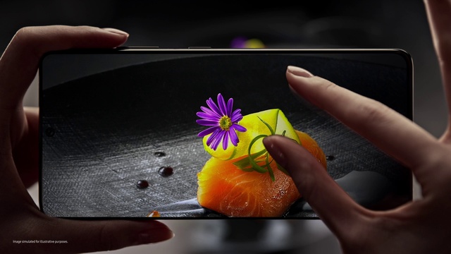 Video Reference: Flower, Plant, Petal, Purple, Gesture, Finger, Violet, Gadget, Nail, Thumb