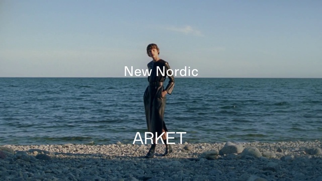 Video Reference: Water, Sky, Flash photography, People in nature, Standing, Happy, Coastal and oceanic landforms, Beach, Cloud, Horizon
