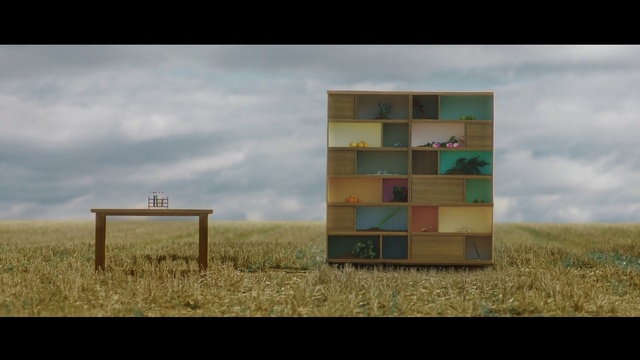 Video Reference: Cloud, Vertebrate, Ecoregion, Wood, Rectangle, Land lot, Mammal, Sky, Art, Grass