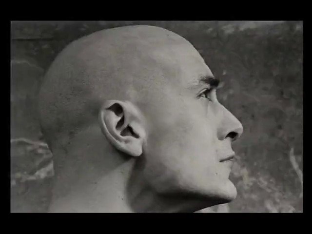 Video Reference: profile, side view, close-up, bald head, human, grayscale, portrait, face, head, studio, texture, minimal