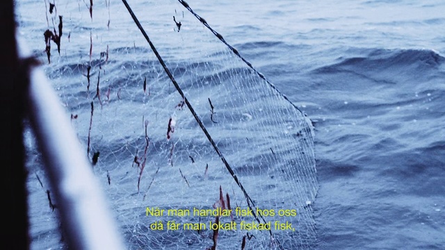 Video Reference: Water, Liquid, Lake, Slope, Wind wave, Fishing net, Plant, Recreational fishing, Fishing, Wave