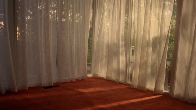 Video Reference: Wood, Interior design, Flooring, Floor, Wood stain, Hardwood, Tints and shades, Plant, Curtain, Grass