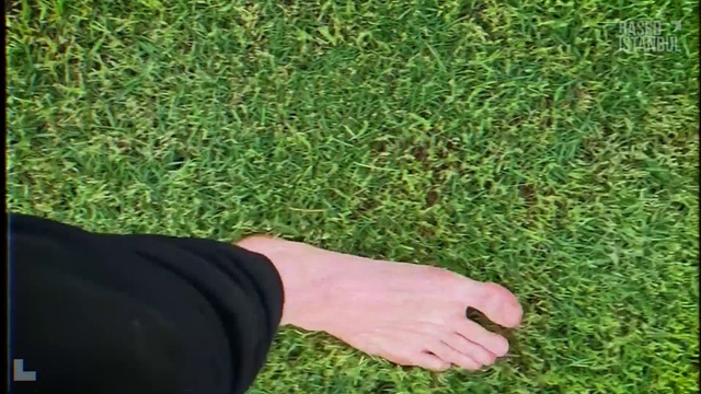 Video Reference: People in nature, Plant, Leaf, Green, Grass, Gesture, Terrestrial plant, Sleeve, Groundcover, Wrist