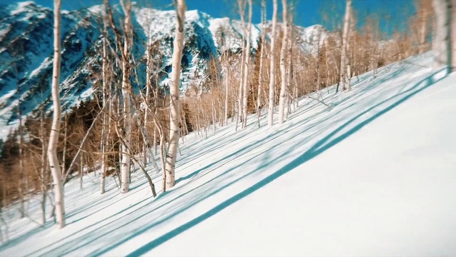 Video Reference: Snow, Sky, Plant, Azure, Tree, Wood, Slope, Natural landscape, Branch, Cloud
