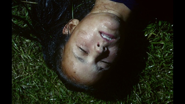 Video Reference: Lip, Eyelash, Jaw, Plant, People in nature, Flash photography, Happy, Fawn, Wood, Grass