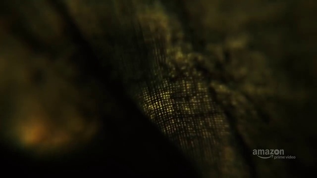 Video Reference: Wood, Terrestrial plant, Tints and shades, Twig, Darkness, Electric blue, Pattern, Grass, Font, Sky