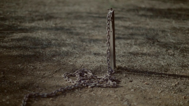 Video Reference: Road surface, Wood, Grass, Asphalt, Tints and shades, Landscape, Natural landscape, Grassland, Sky, Monochrome photography