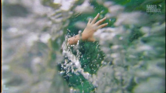 Video Reference: Water, Plant, People in nature, Organism, Terrestrial plant, Happy, Grass, Sky, Natural landscape, Underwater