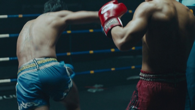 Video Reference: Glove, Muscle, Sports gear, Shorts, Sports equipment, Combat sport, Boxing glove, Boxing, Striking combat sports, Boxing equipment