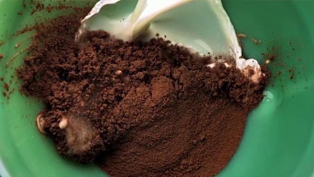 Video Reference: Ingredient, Cuisine, Terrestrial plant, Dish, Soil, Coffee filter, Herb, Terrestrial animal, Insect, Fertilizer