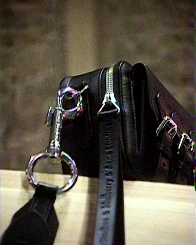 Video Reference: Webbing, Bag, Luggage and bags, Strap, Electric blue, Eyewear, Metal, Font, Fashion accessory, Leather
