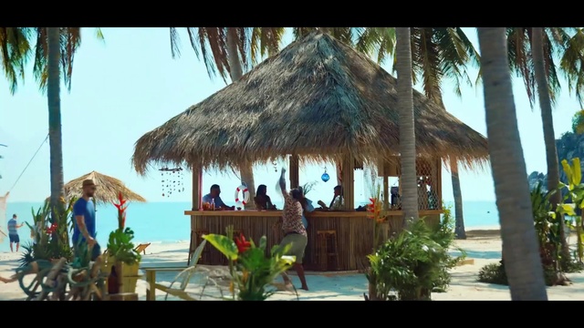 Video Reference: Plant, Sky, Thatching, Shade, Tree, Arecales, Outdoor furniture, Building, Travel, Woody plant