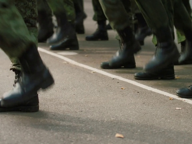 Video Reference: Leg, Road surface, Asphalt, Thigh, Grey, Finger, Flooring, Grass, Zebra crossing, Calf