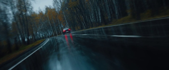 Video Reference: Car, Tire, Vehicle, Automotive lighting, Automotive tire, Plant, Motor vehicle, Sky, Road surface, Tree