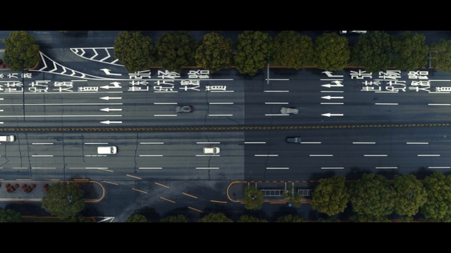 Video Reference: Plant, Font, Urban design, Natural landscape, Terrestrial plant, Grass, Rectangle, Tree, Landscape, Screenshot