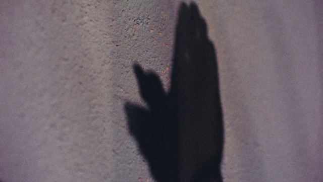 Video Reference: Gesture, Grey, Tints and shades, Shadow, Human leg, Thumb, Darkness, Wrist, Tail, Visual arts