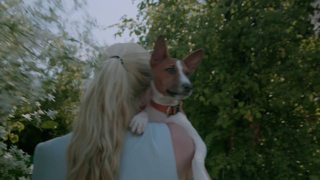 Video Reference: Head, Dog, Plant, Dog breed, Carnivore, Sky, Tree, Companion dog, Fawn, Working animal