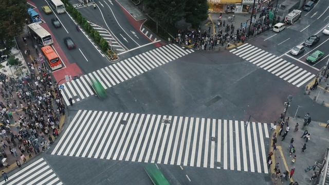 Video Reference: Car, Vehicle, Motor vehicle, Infrastructure, Road surface, Zebra crossing, Asphalt, Transport hub, Wheel, Urban design