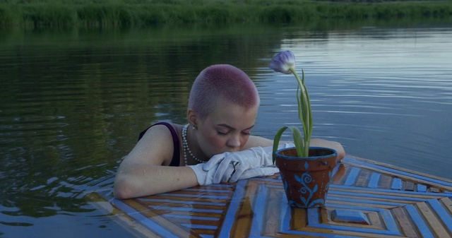 Video Reference: Water, Plant, Flower, Green, Flowerpot, Lake, People in nature, Grass, Chair, Body of water