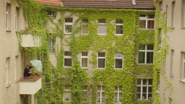 Video Reference: Window, Property, Building, Green, Botany, Fixture, Vegetation, Architecture, Grass, Shrub