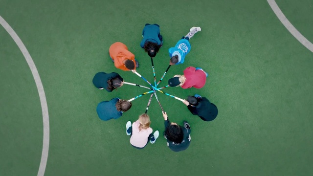 Video Reference: Petal, Indoor games and sports, Grass, Recreation, Circle, Symmetry, Event, Games, Electric blue, Pattern