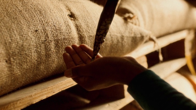 Video Reference: Comfort, Human body, Wood, Textile, Sleeve, Gesture, Finger, Nail, Tints and shades, Flooring