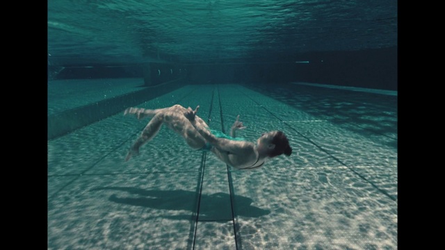 Video Reference: Water, Underwater, Organism, Recreation, Art, Marine biology, Leisure, Fun, Sporting Group, Visual arts