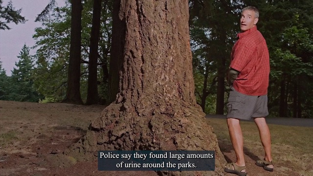 Video Reference: People in nature, Branch, Plant, Wood, Tree, Trunk, Shorts, Terrestrial plant, Grass, Tints and shades