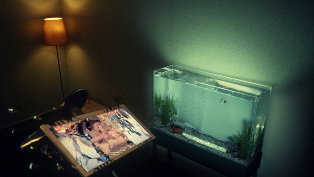 Video Reference: Lighting, Lamp, Gadget, Table, Pet supply, Gas, Desk, Electronic device, Display device, Technology