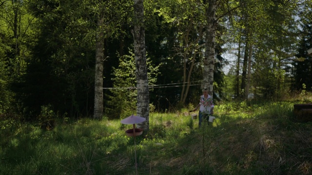 Video Reference: Plant, Tree, Natural landscape, Wood, Trunk, Landscape, Grass, Grassland, People in nature, Forest